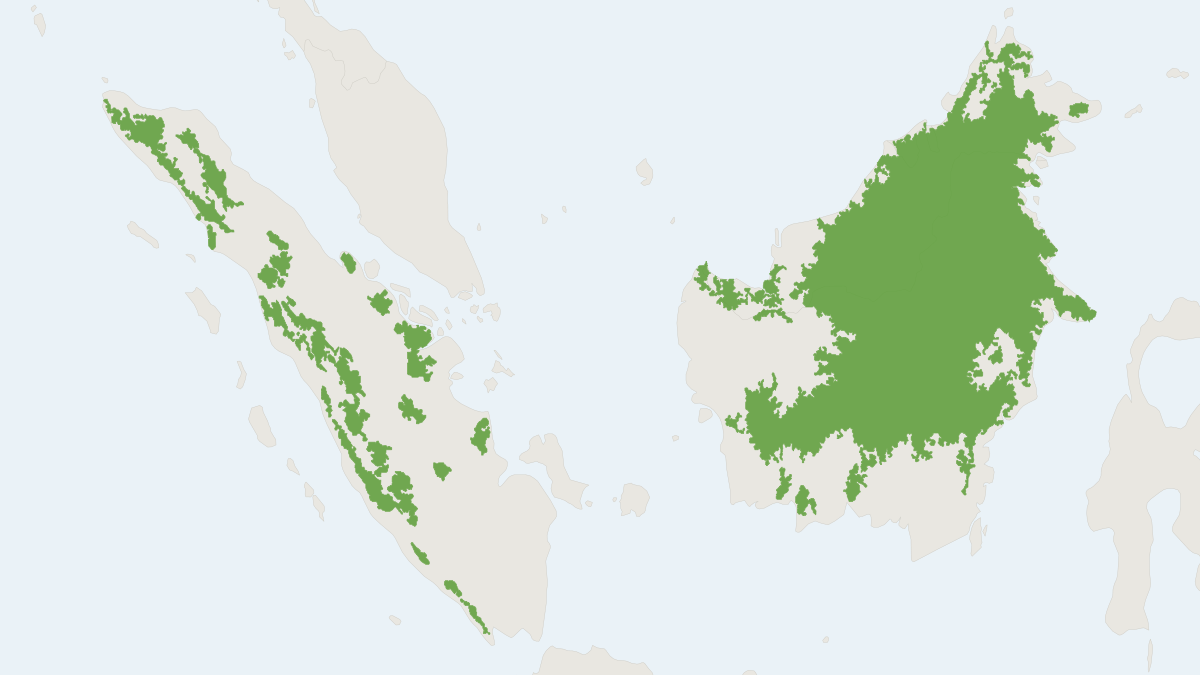 Range map of the Sunda Clouded Leopard (Neofelis diardi) covering Brunei, Indonesia and Malaysia