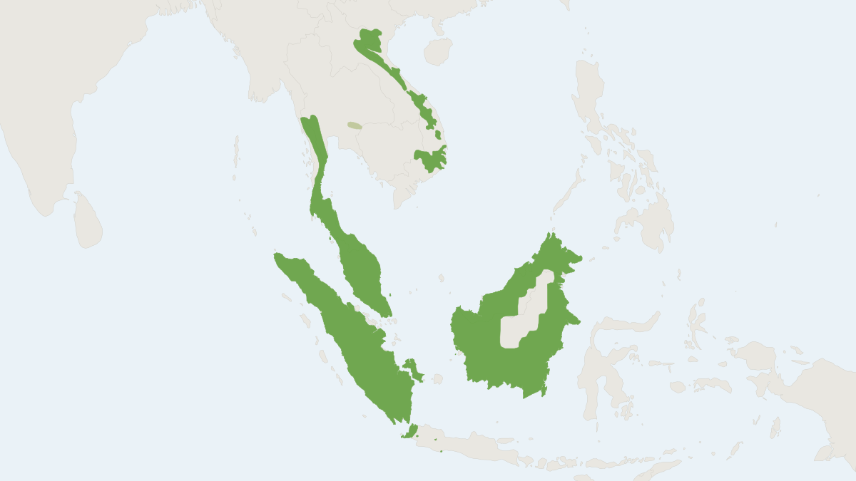 Range map of the Sunda Flying Lemur (Galeopterus variegatus) covering Indonesia, Malaysia and Singapore