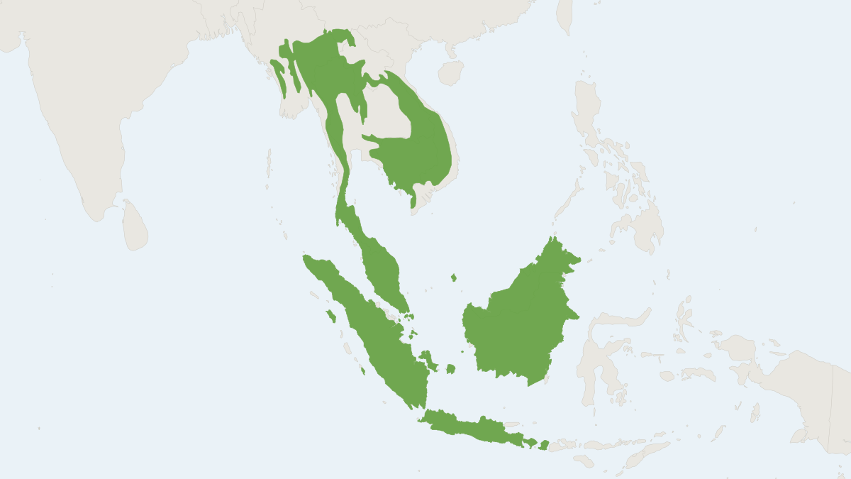 Range map of the Sunda Pangolin (Manis javanica) covering Brunei, Cambodia and Indonesia