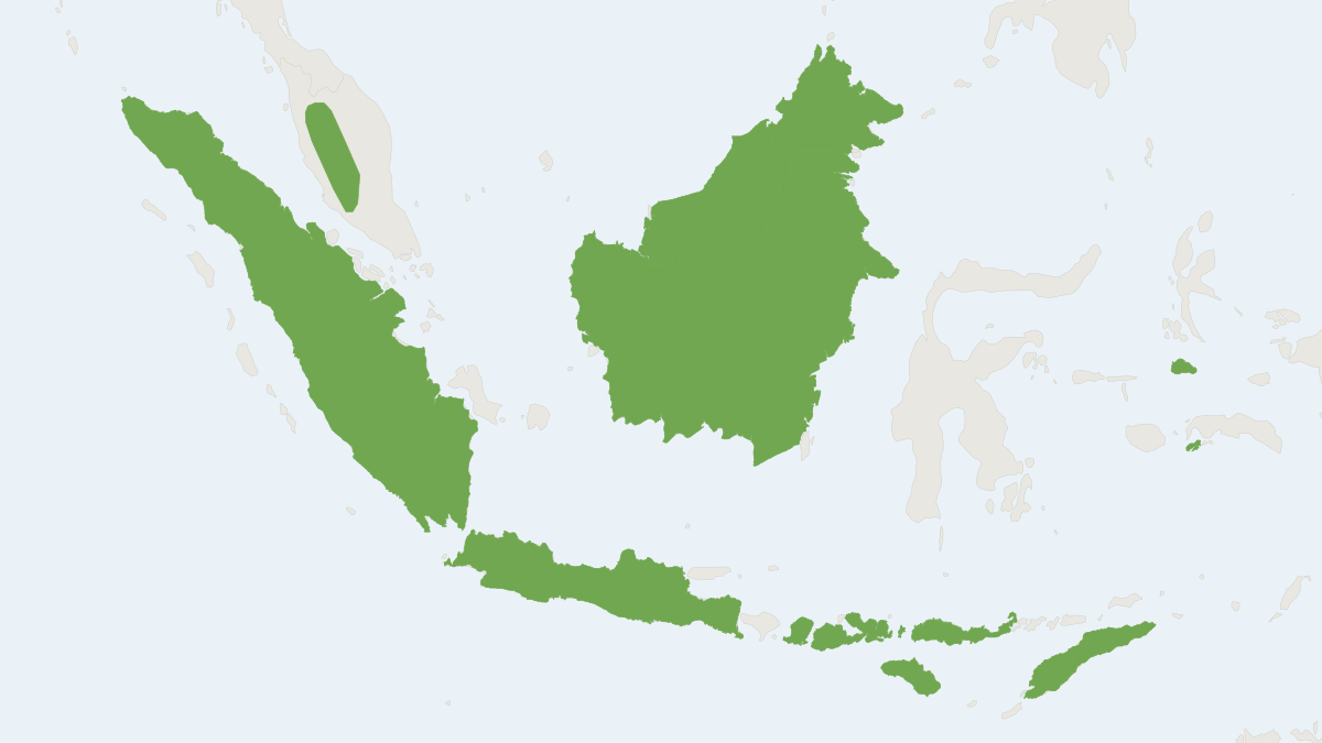 Range map of the Sunda Shrew (Crocidura monticola)