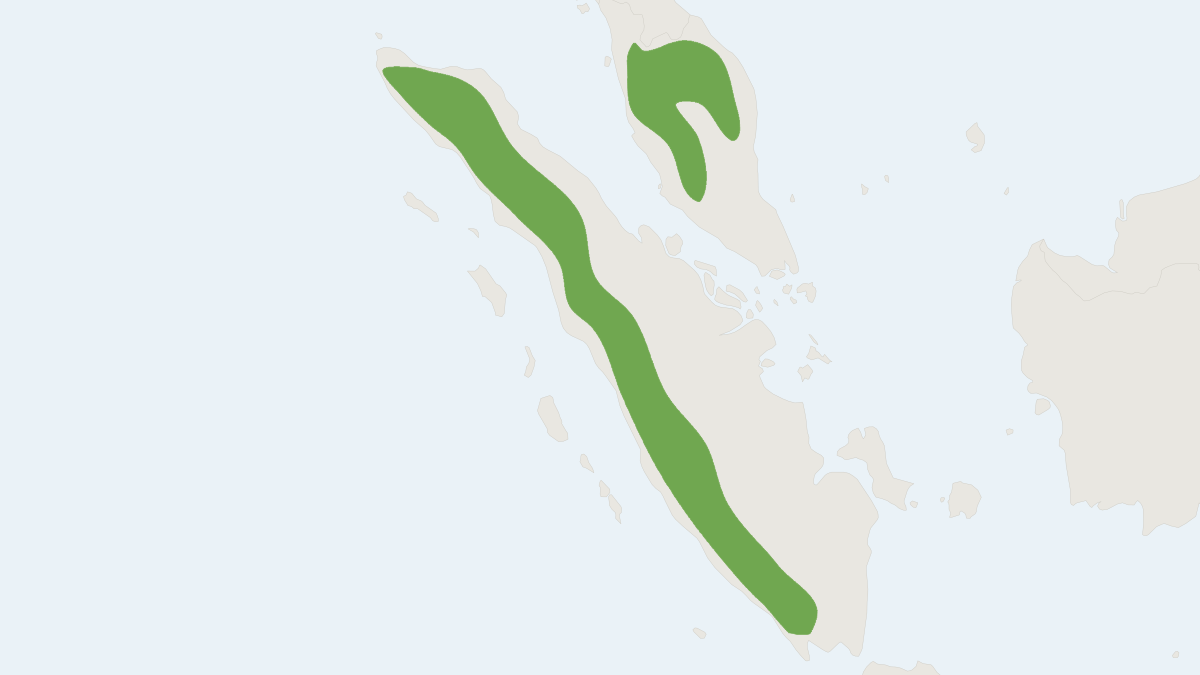 Range map of the Sundaic Mountain Leopoldamys (Leopoldamys ciliatus)
