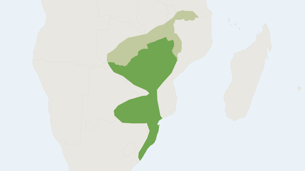 Range map of the Sundevall's Leaf-nosed Bat (Hipposideros caffer)