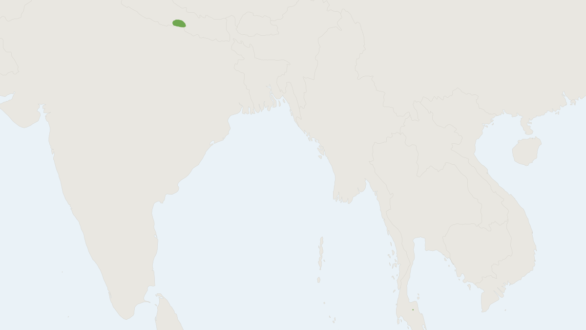 Range map of the Surat Helmeted Bat (Cassistrellus dimissus)