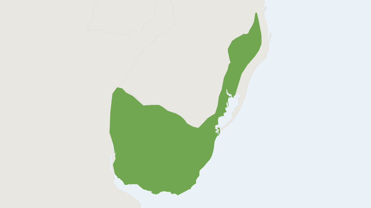 Range map of the Swamp Rat (Scapteromys tumidus)