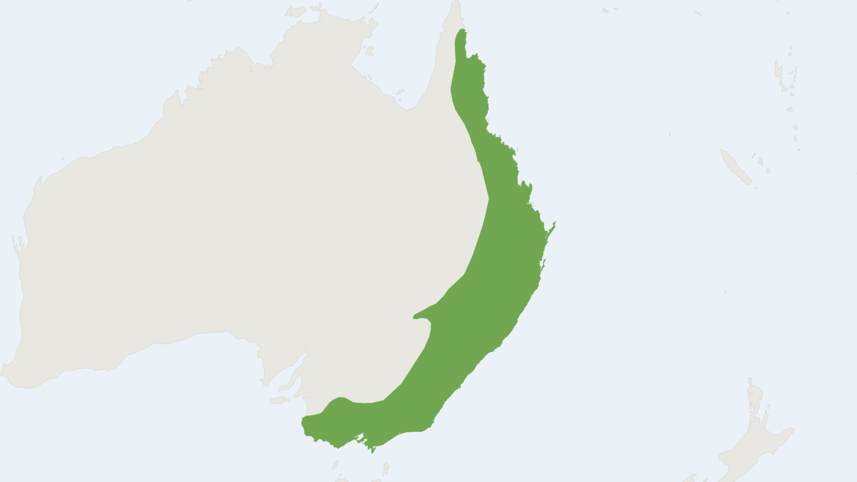 Range map of the Swamp Wallaby (Wallabia bicolor)