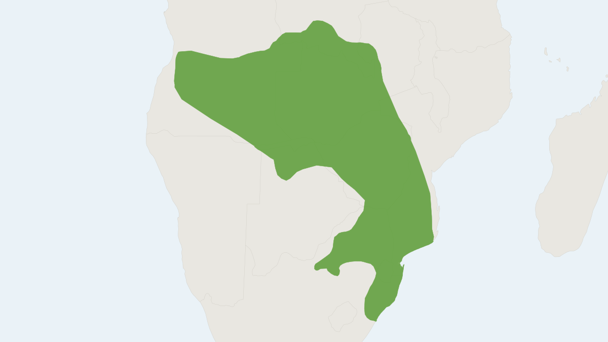 Range map of the Swamp White-toothed Shrew (Crocidura mariquensis)