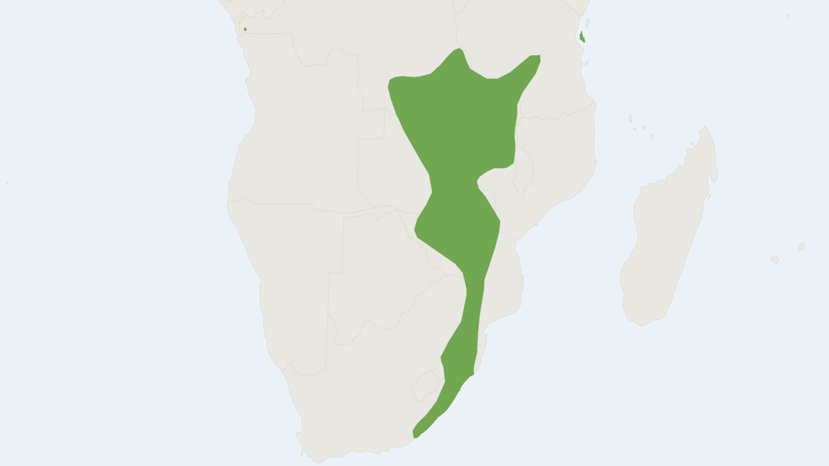 Range map of the Swinny's Horseshoe Bat (Rhinolophus swinnyi)