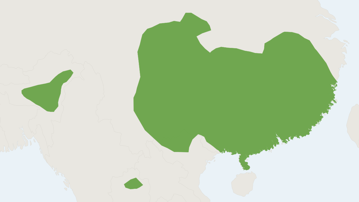 Range map of the Szechwan Myotis (Myotis altarium)