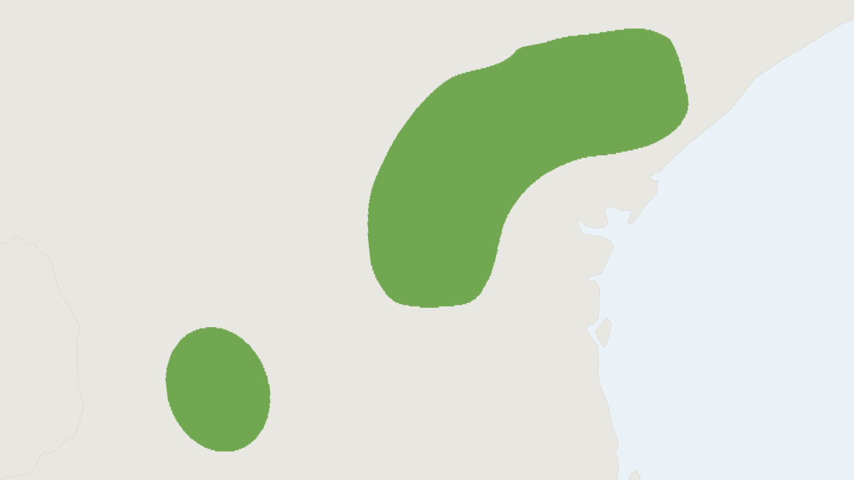 Range map of the Taddei's Serotine (Neoeptesicus taddeii)