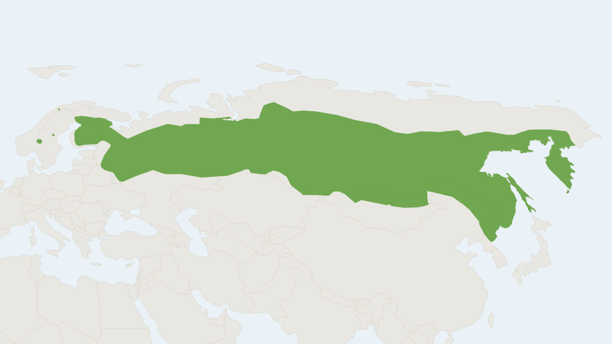 Range map of the Taiga Shrew (Sorex isodon)