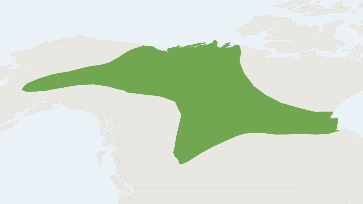 Range map of the Taiga Vole (Microtus xanthognathus)