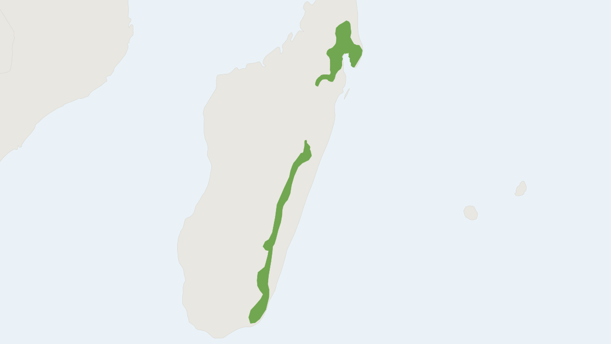 Range map of the Taiva Shrew Tenrec (Microgale taiva)