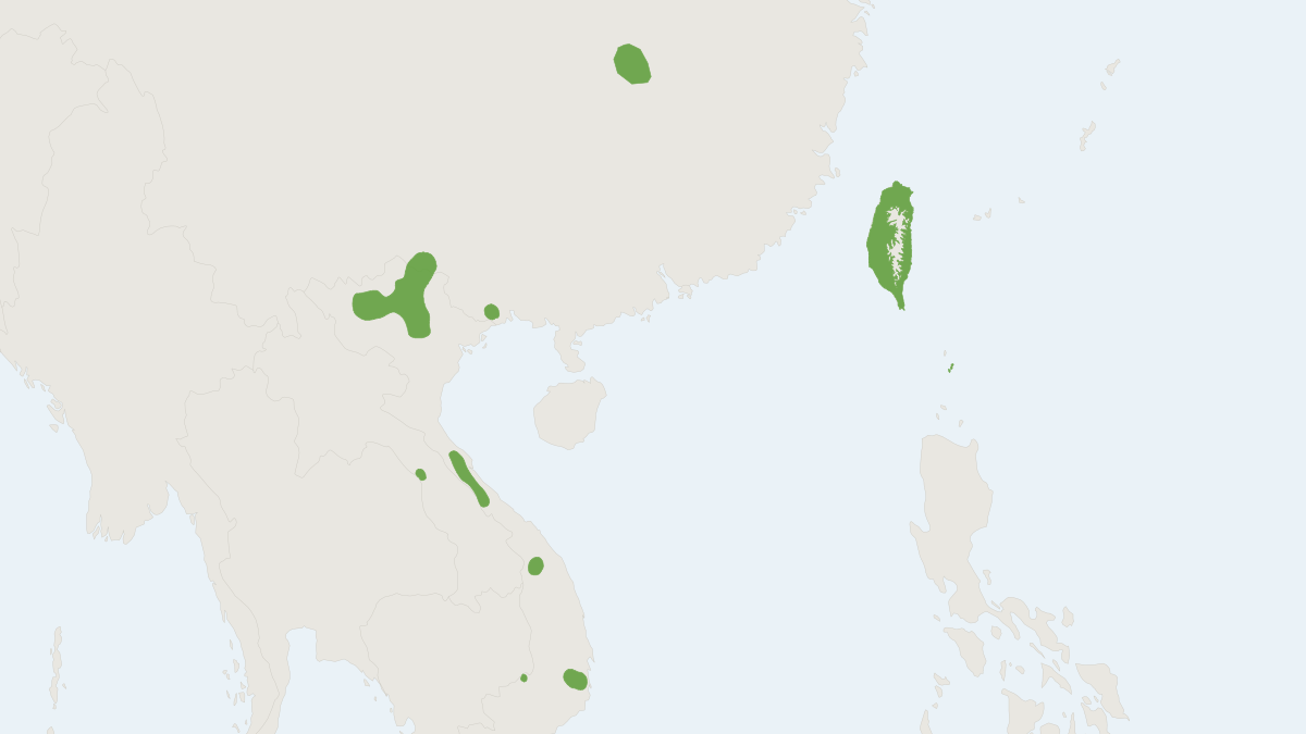 Range map of the Taiwanese Gray Shrew (Crocidura tanakae)