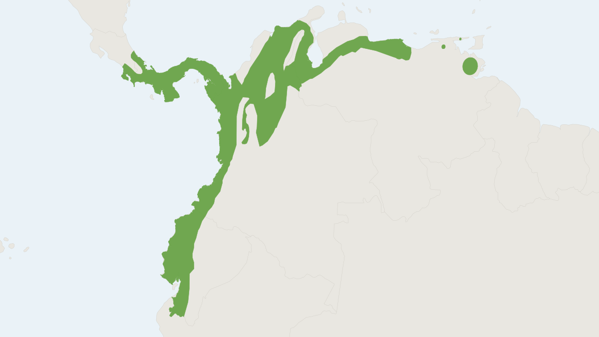 Range map of the Talamancan Rice Rat (Transandinomys talamancae)