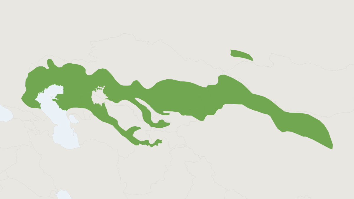 Range map of the Tamarisk Gerbil (Meriones tamariscinus)