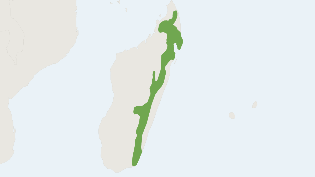 Range map of the Tanala Tuft-tailed Rat (Eliurus tanala)