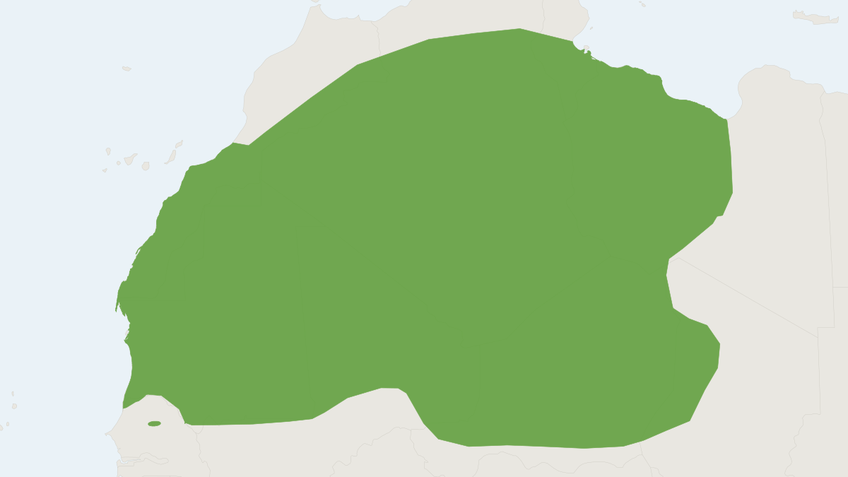 Range map of the Tarabul's Gerbil (Gerbillus tarabuli)