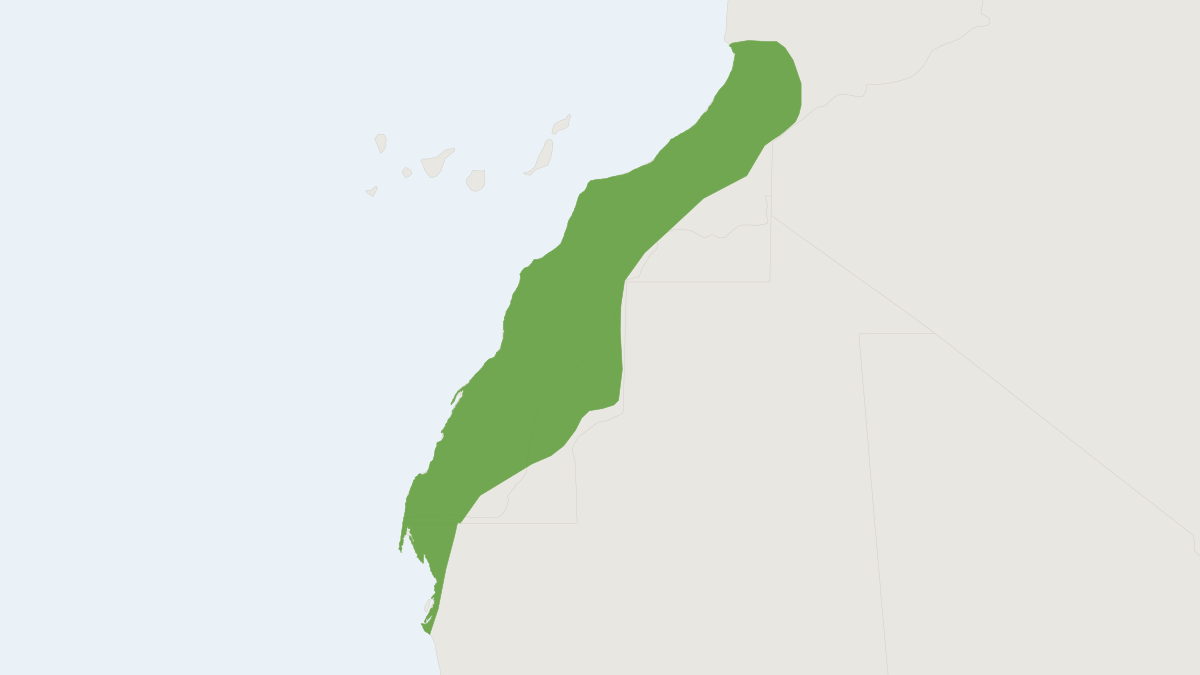 Range map of the Tarfaya Shrew (Crocidura tarfayensis)