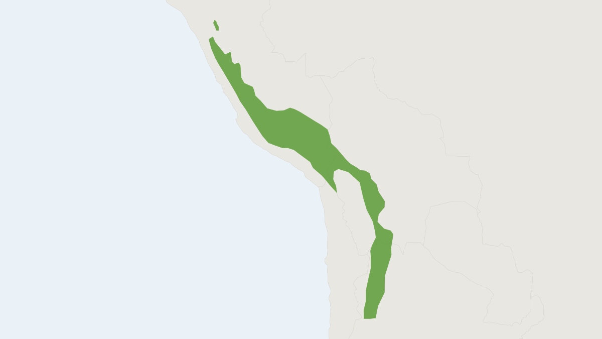 Range map of the Taruca (Hippocamelus antisensis)