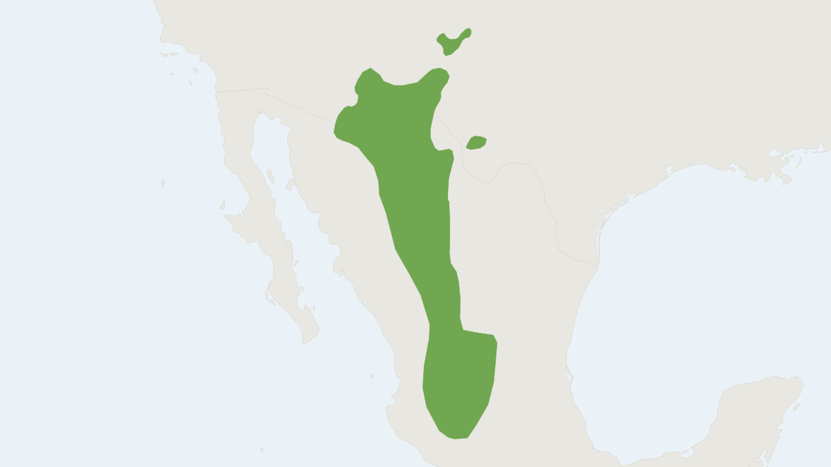 Range map of the Tawny-bellied Cotton Rat (Sigmodon fulviventer)