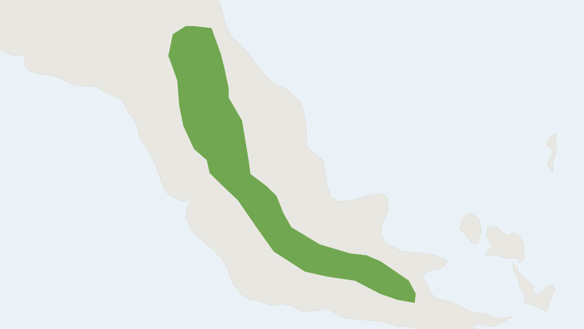 Range map of the Tawny Coccymys (Coccymys kirrhos)