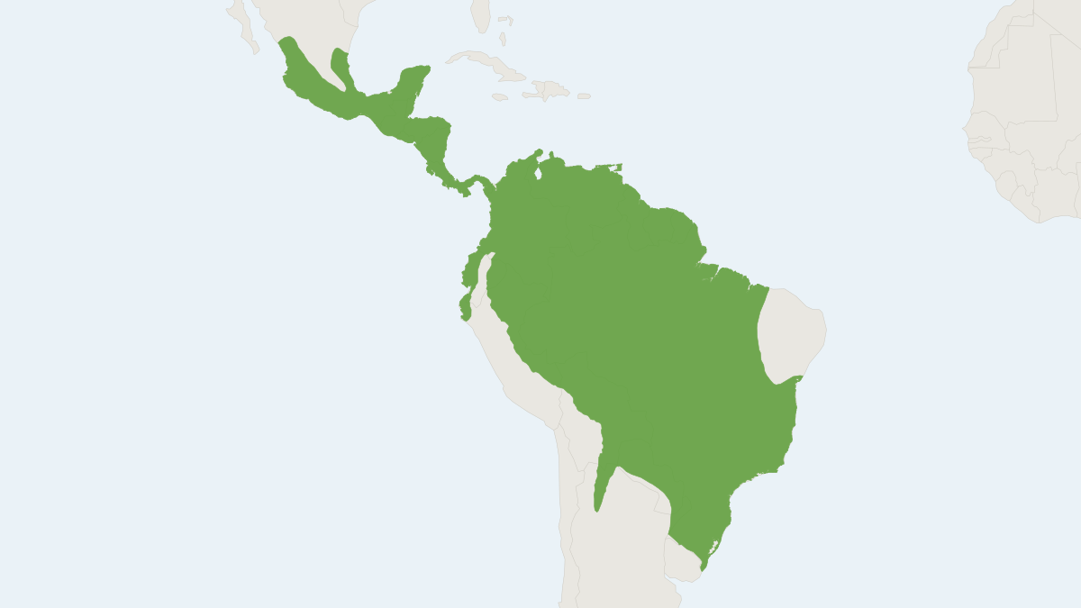 Range map of the Tayra (Eira barbara)