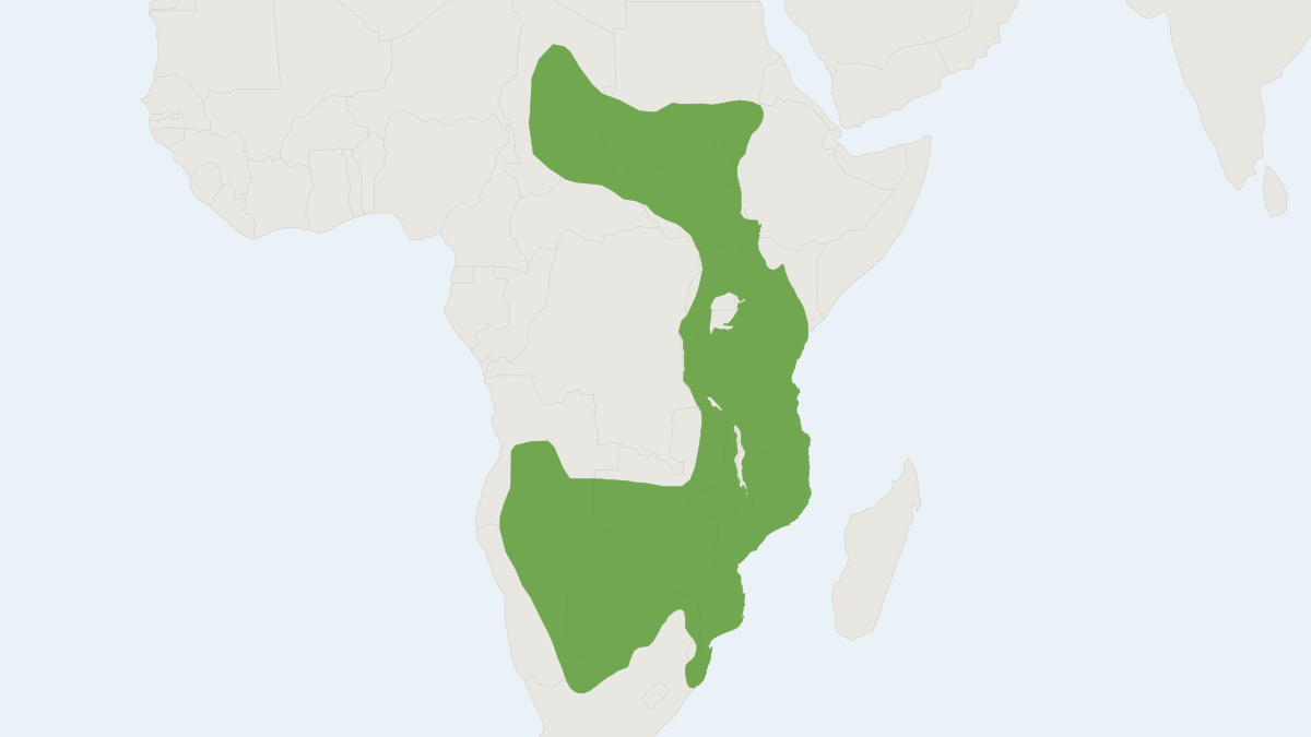Range map of the Temminck's Ground Pangolin (Smutsia temminckii) covering Botswana, Kenya and Malawi