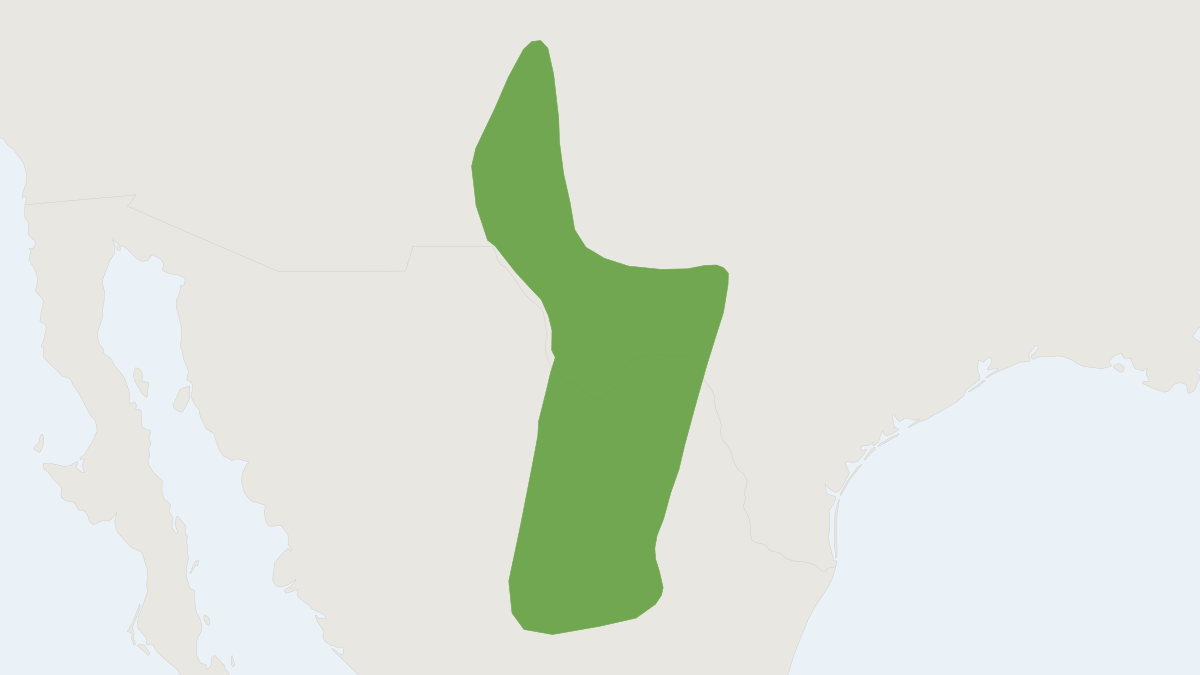 Range map of the Texas Antelope Squirrel (Ammospermophilus interpres)