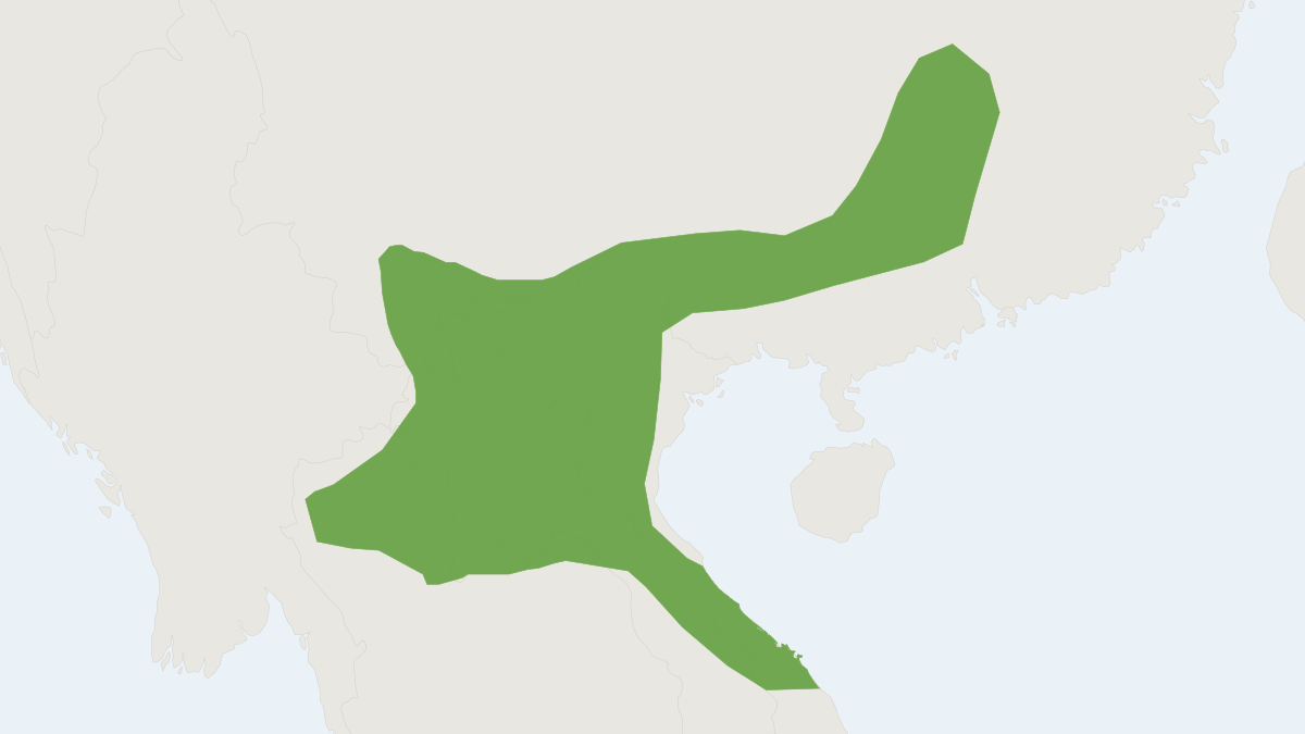 Range map of the Thai Horseshoe Bat (Rhinolophus siamensis)