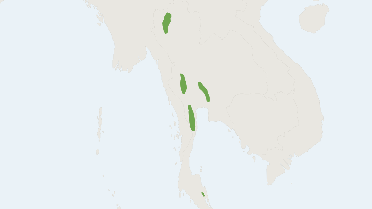 Range map of the Thailand Leaf-nosed Bat (Hipposideros halophyllus)