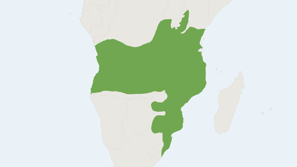Range map of the Thick-tailed Greater Galago (Otolemur crassicaudatus)