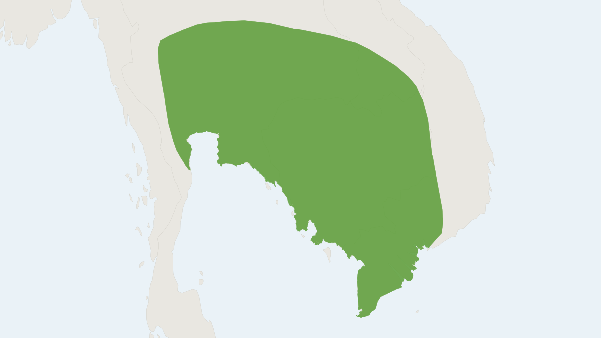 Range map of the Thick-thumbed Myotis (Myotis rosseti)