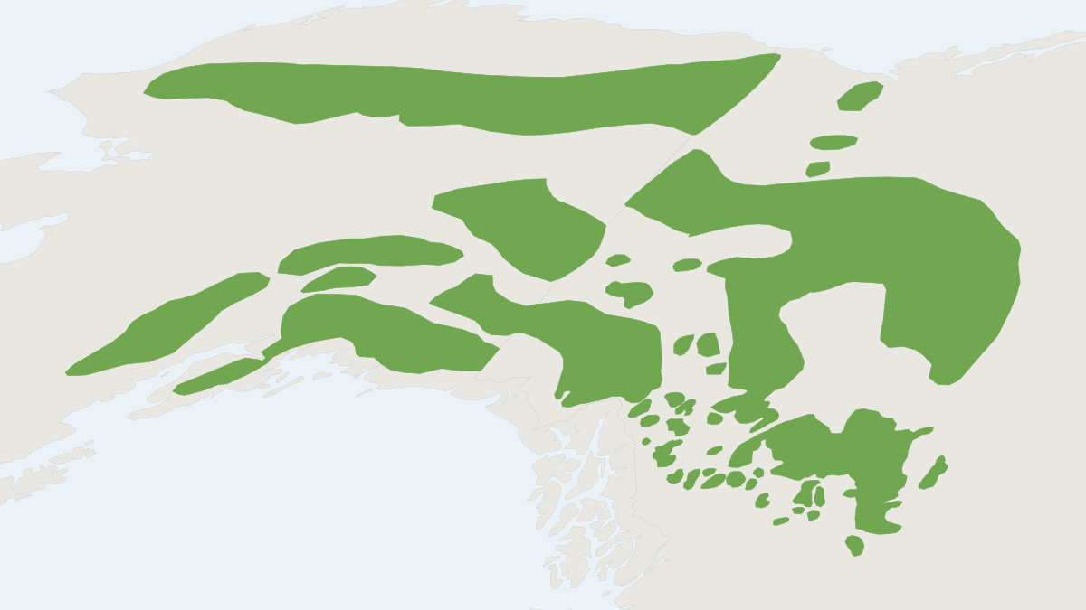 Range map of the Thinhorn Sheep (Ovis dalli) covering Canada and United States