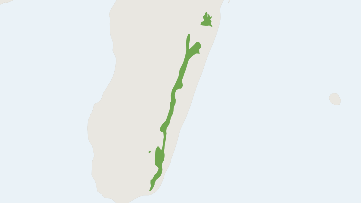 Range map of the Thomas' Shrew Tenrec (Microgale thomasi)