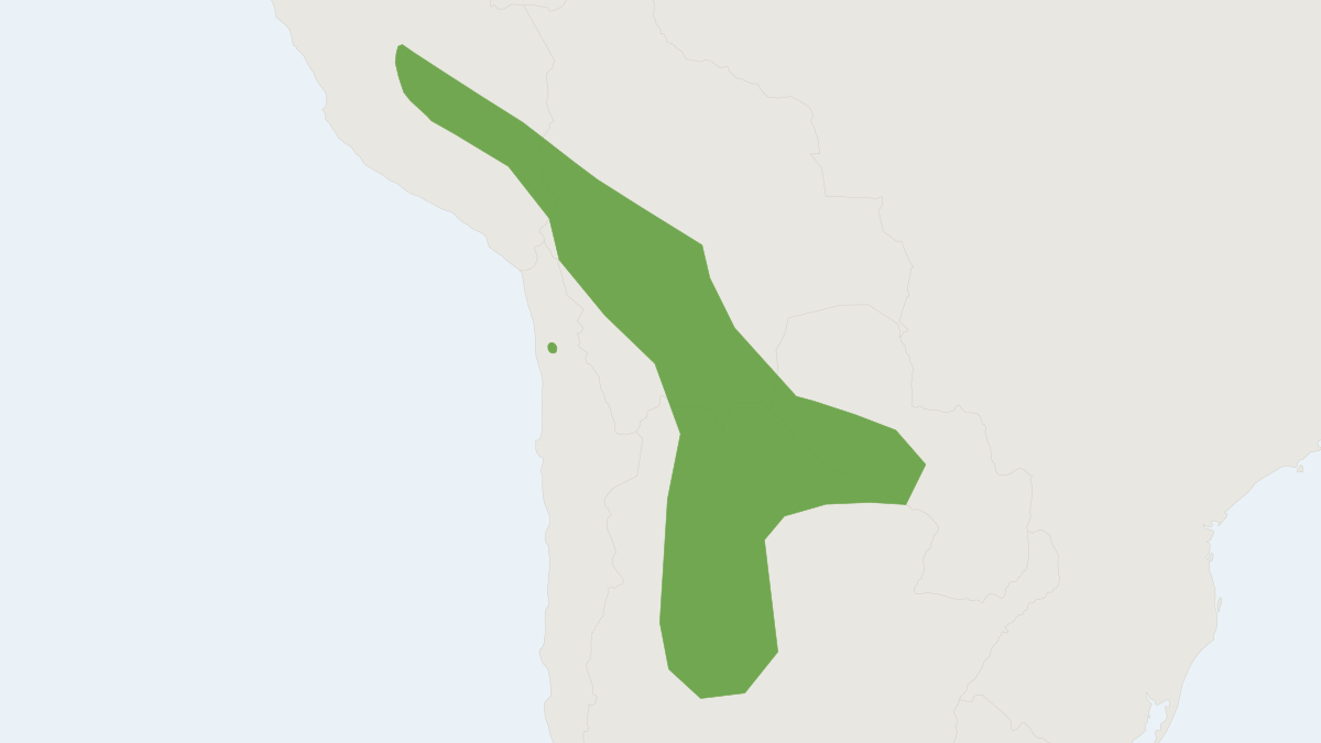 Range map of the Thomas's Big-eared Brown Bat (Histiotus laephotis)