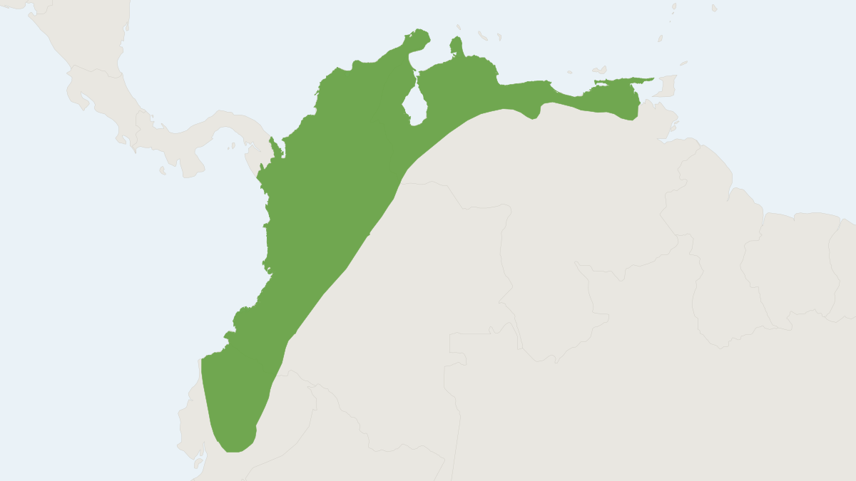 Range map of the Thomas's Broad-nosed Bat (Platyrrhinus dorsalis)