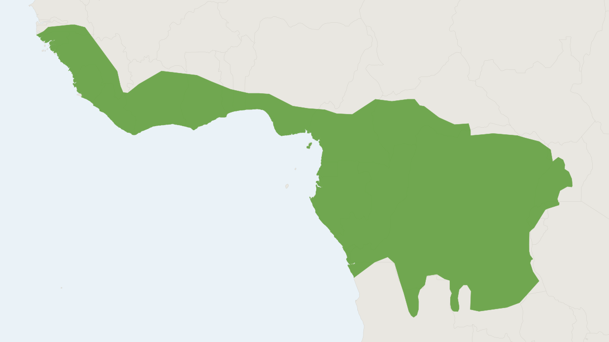 Range map of the Thomas's Dwarf Galago (Galagoides thomasi)