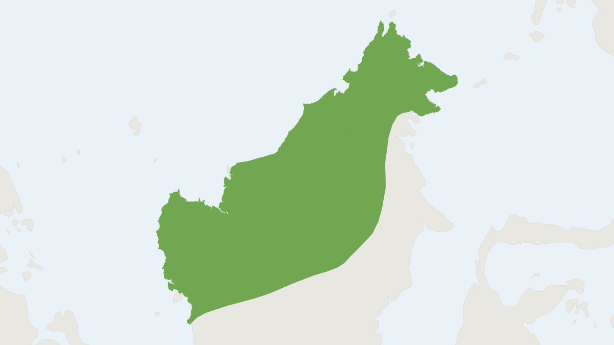 Range map of the Thomas's Flying Squirrel (Aeromys thomasi) covering Brunei, Indonesia and Malaysia