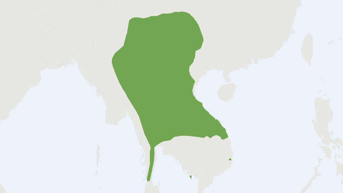 Range map of the Thomas's Horseshoe Bat (Rhinolophus thomasi)