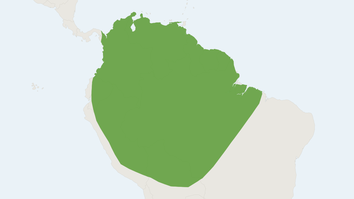 Range map of the Thomas's Nectar Bat (Lonchophylla thomasi)