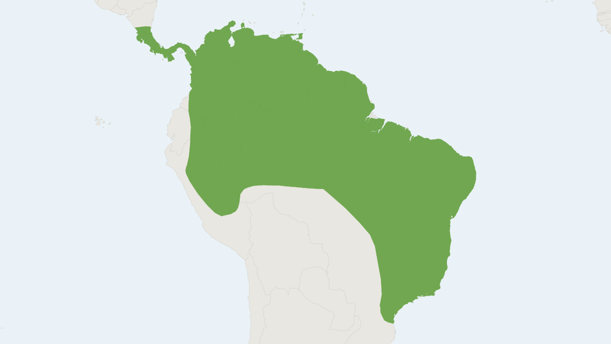 Range map of the Thumbless Bat (Furipterus horrens)