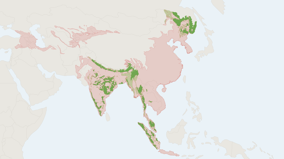 Range map of the Tiger (Panthera tigris) covering Bangladesh, Bhutan and China
