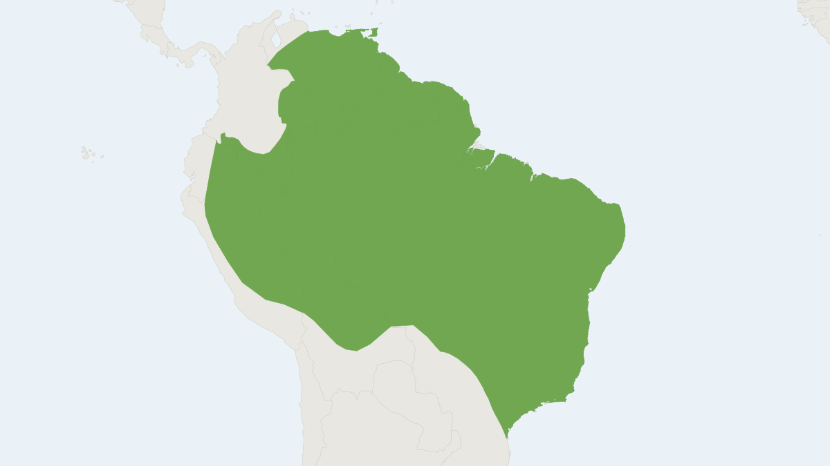 Range map of the Tilda's Yellow-shouldered Bat (Sturnira tildae)