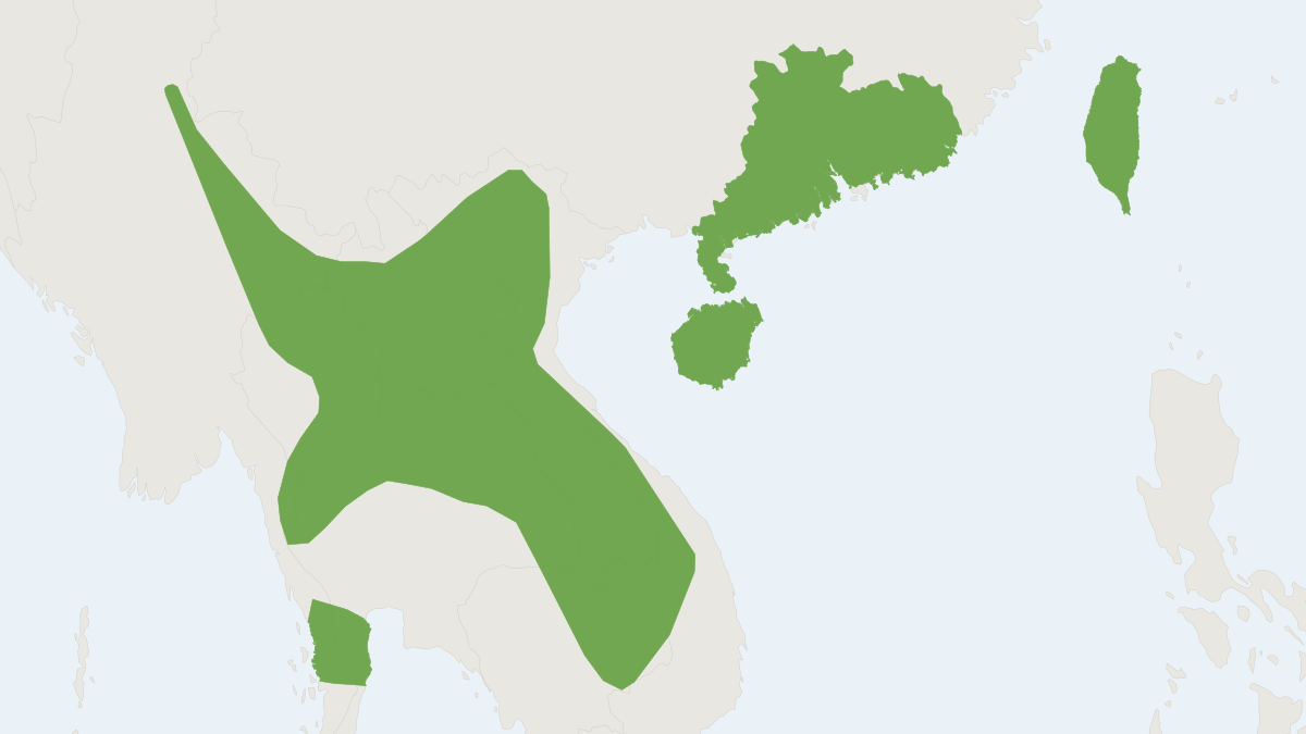 Range map of the Titania's Woolly Bat (Kerivoula titania)