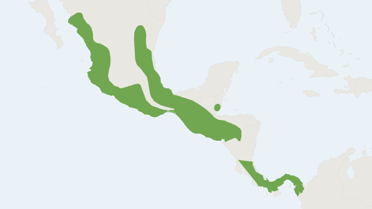 Range map of the Toltec Fruit-eating Bat (Dermanura tolteca) covering Belize, Colombia and Costa Rica