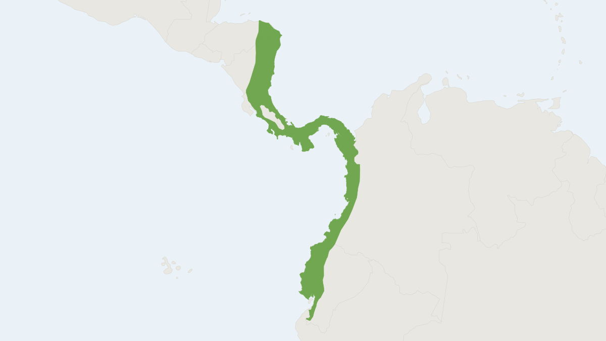 Range map of the Tome's Spiny Rat (Proechimys semispinosus)