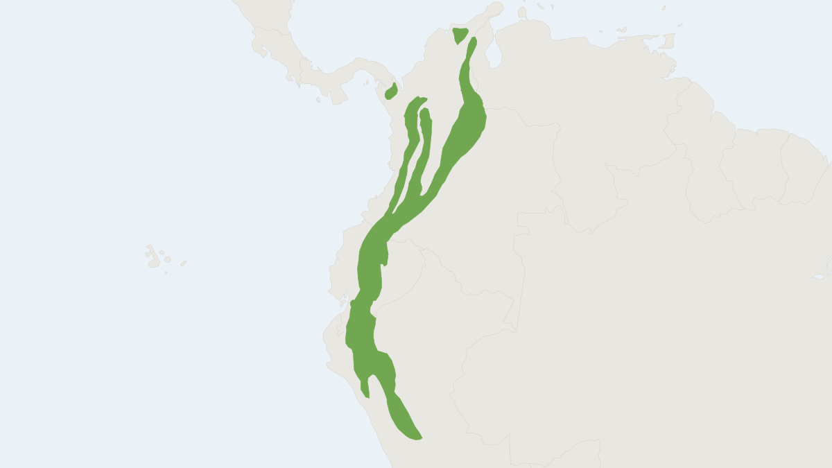 Range map of the Tomes's Rice Rat (Nephelomys albigularis)