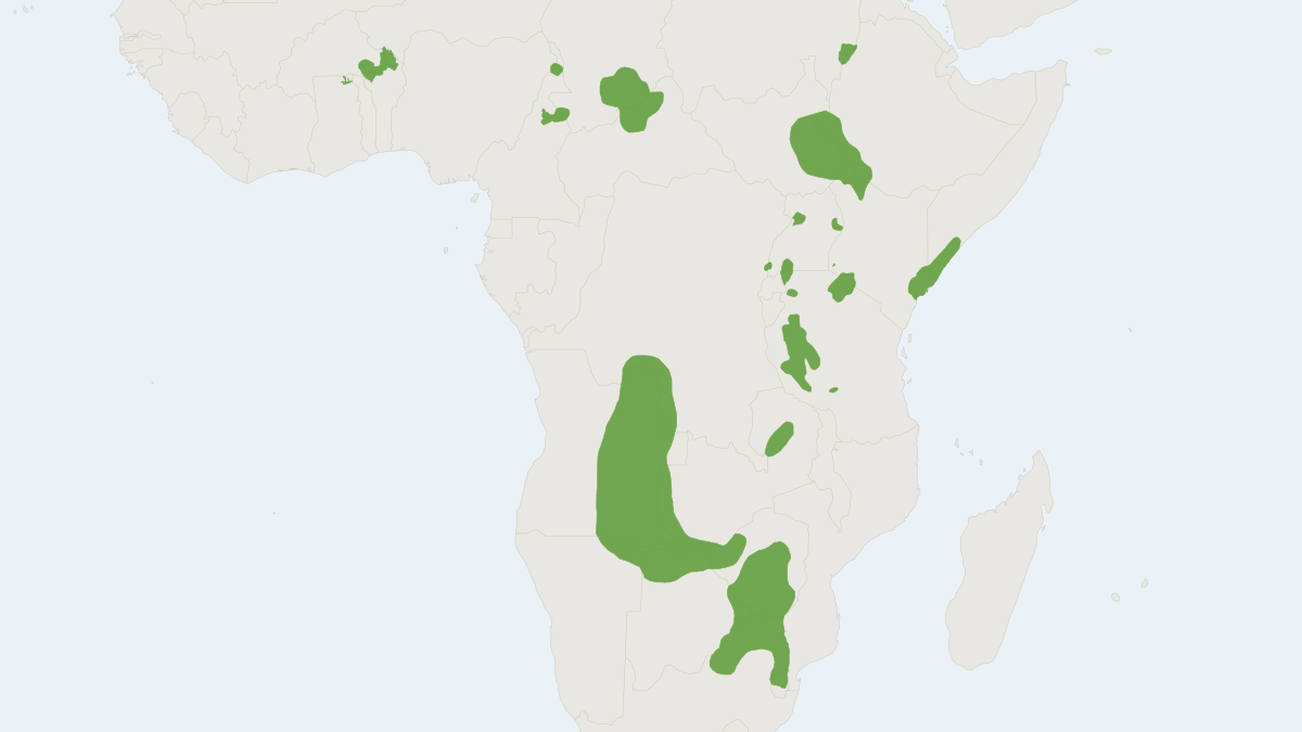Range map of the Topi (Damaliscus lunatus) covering Botswana, Kenya and Senegal