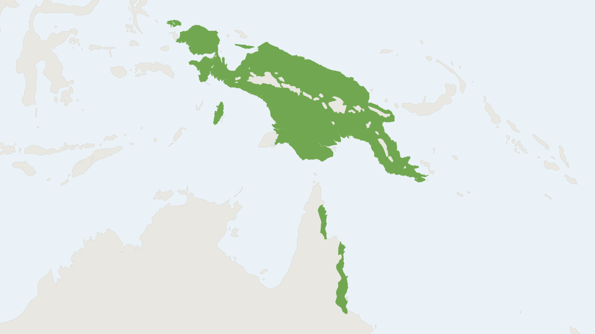 Range map of the Torresian Striped Possum (Dactylopsila trivirgata)