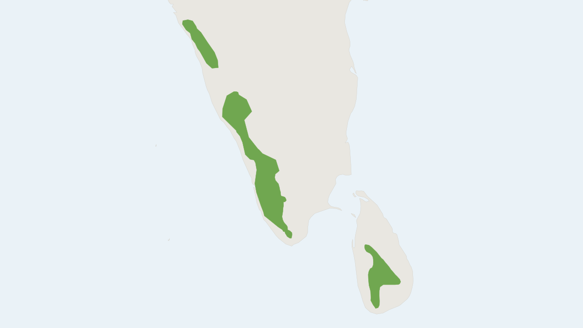 Range map of the Travancore Flying Squirrel (Petinomys fuscocapillus)